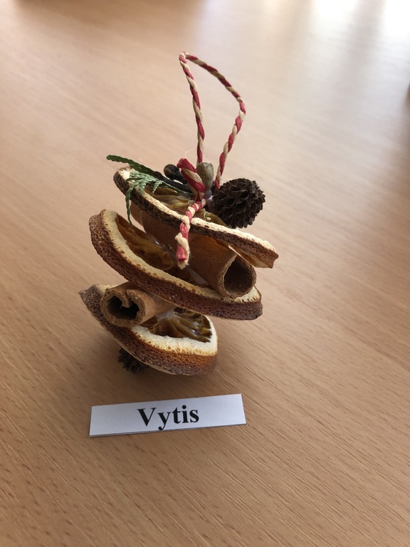 Vytis-Martinaitis