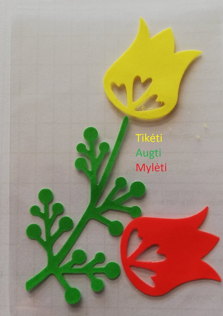 tiketi-myleti-augti.jpg tiketi-myleti-augti