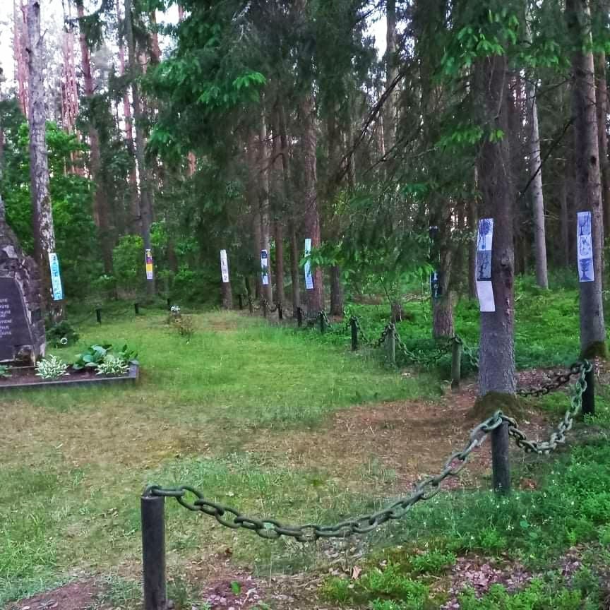 199391629_2965541930381640_6580412646256943399_n.jpg 199391629_2965541930381640_6580412646256943399_n