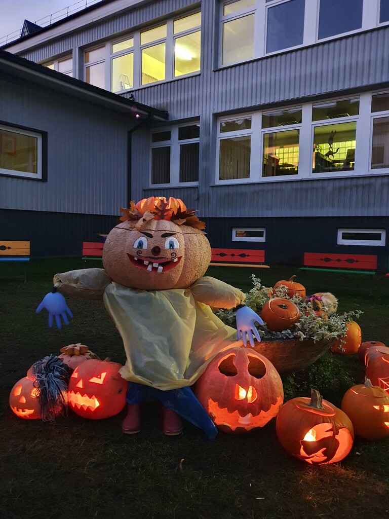20211029_075255.jpg 20211029_075255