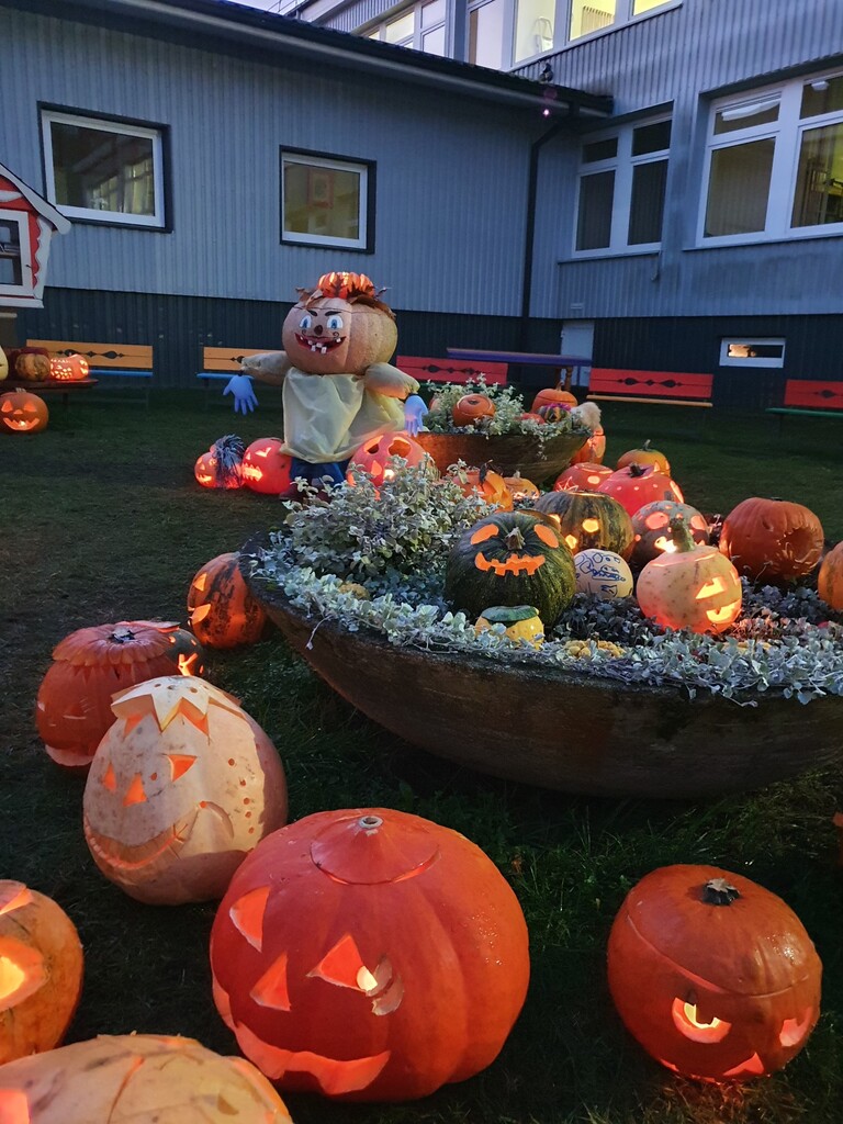 20211029_075308.jpg 20211029_075308