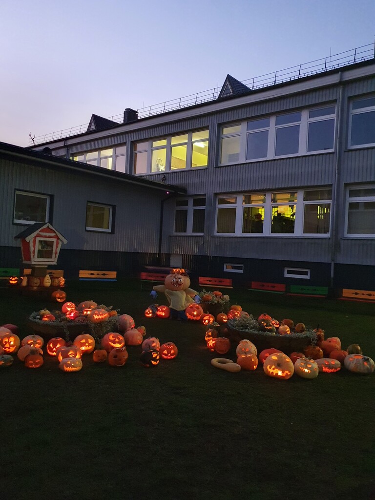 20211029_075320.jpg 20211029_075320