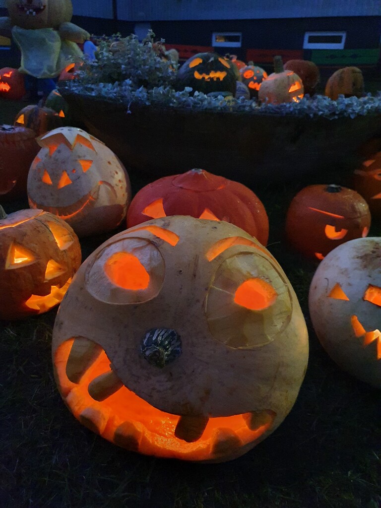 20211029_075501.jpg 20211029_075501