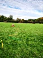 244257973_1780226348854530_135876972745626748_n.jpg 244257973_1780226348854530_135876972745626748_n