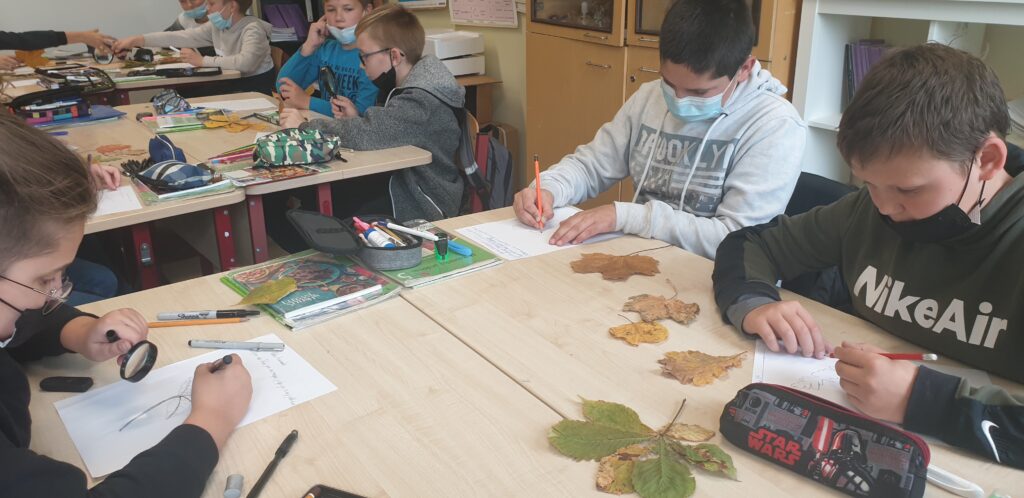 20211012_114636.jpg 20211012_114636