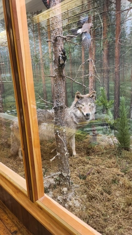 photo-014-392247533313614